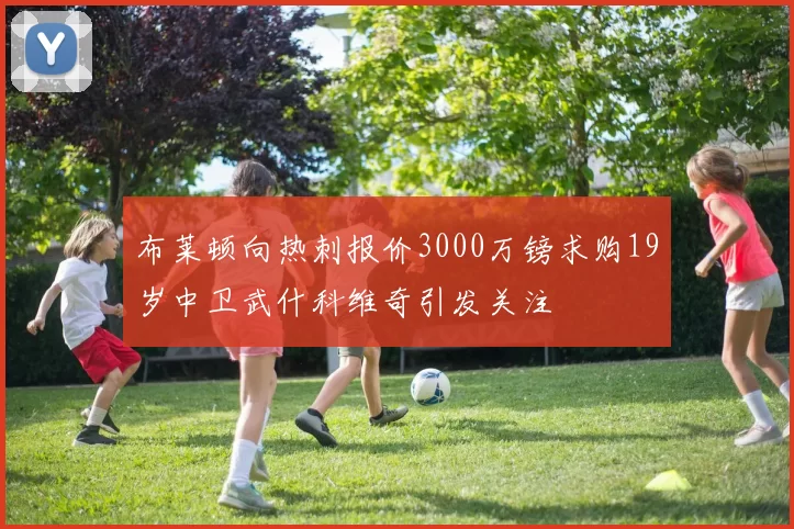 布莱顿向热刺报价3000万镑求购19岁中卫武什科维奇引发关注